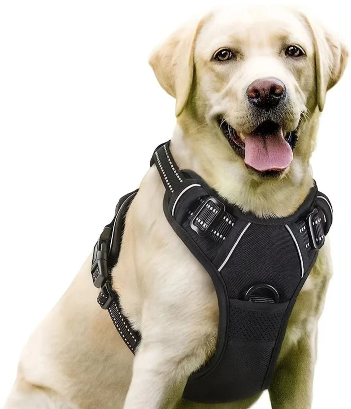 Dog Harness