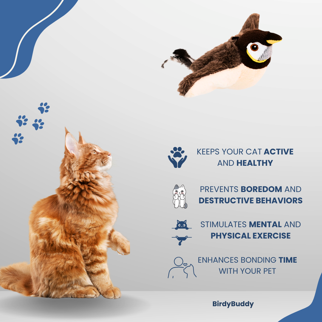 BirdyBuddy Toy