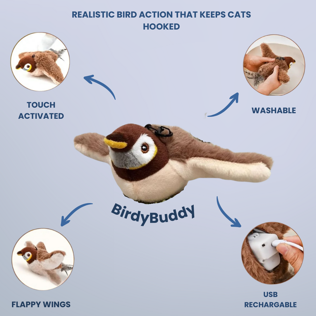 BirdyBuddy Toy
