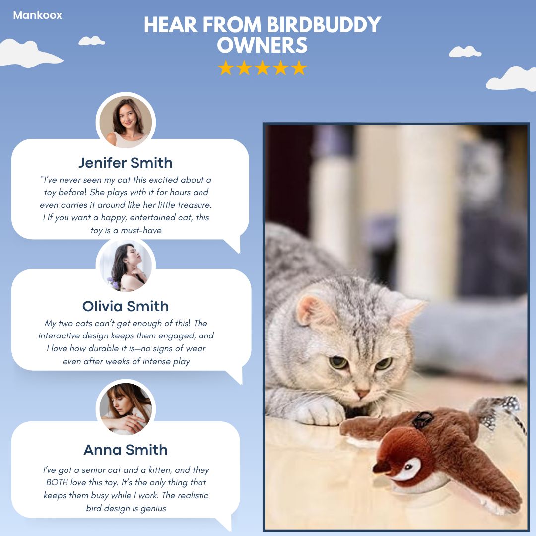 BirdyBuddy Toy