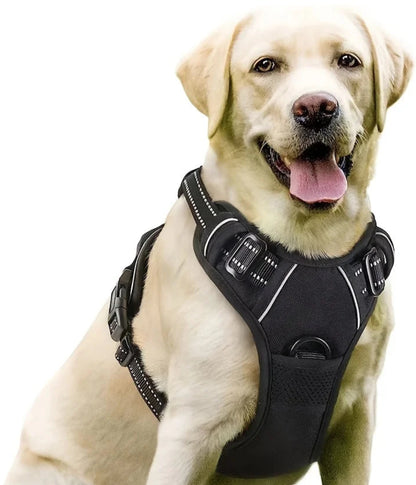 Dog Harness