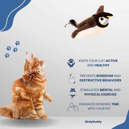 BirdyBuddy Toy
